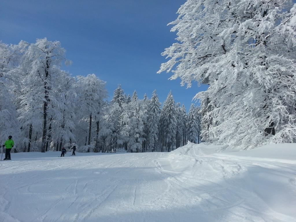 Boehmerwald Pur2 Клаффер-ам-Хохфихт Экстерьер фото